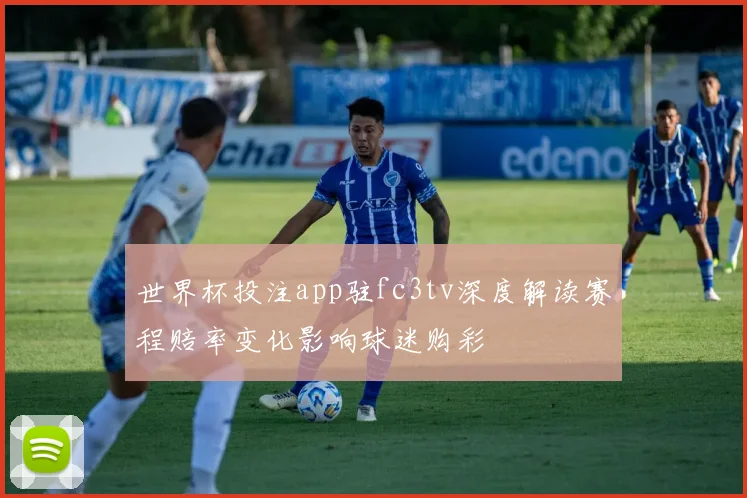 世界杯投注app驻fc3tv深度解读赛程赔率变化影响球迷购彩