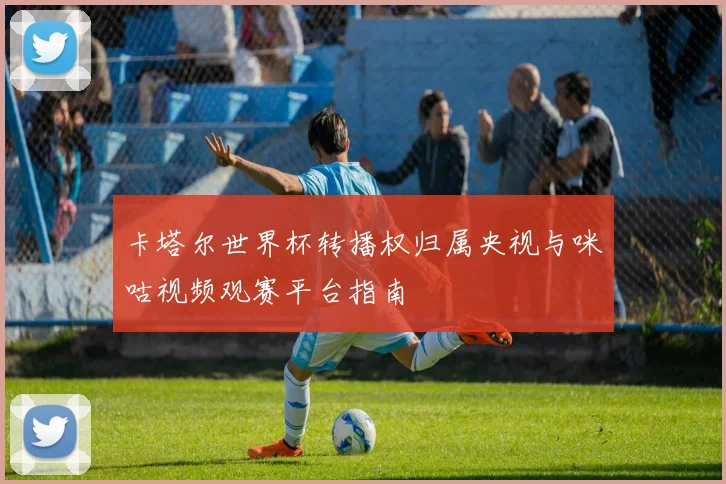 卡塔尔世界杯转播权归属央视与咪咕视频观赛平台指南